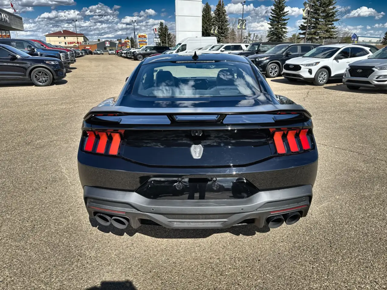 Ford Mustang fotografie Ford Mustang