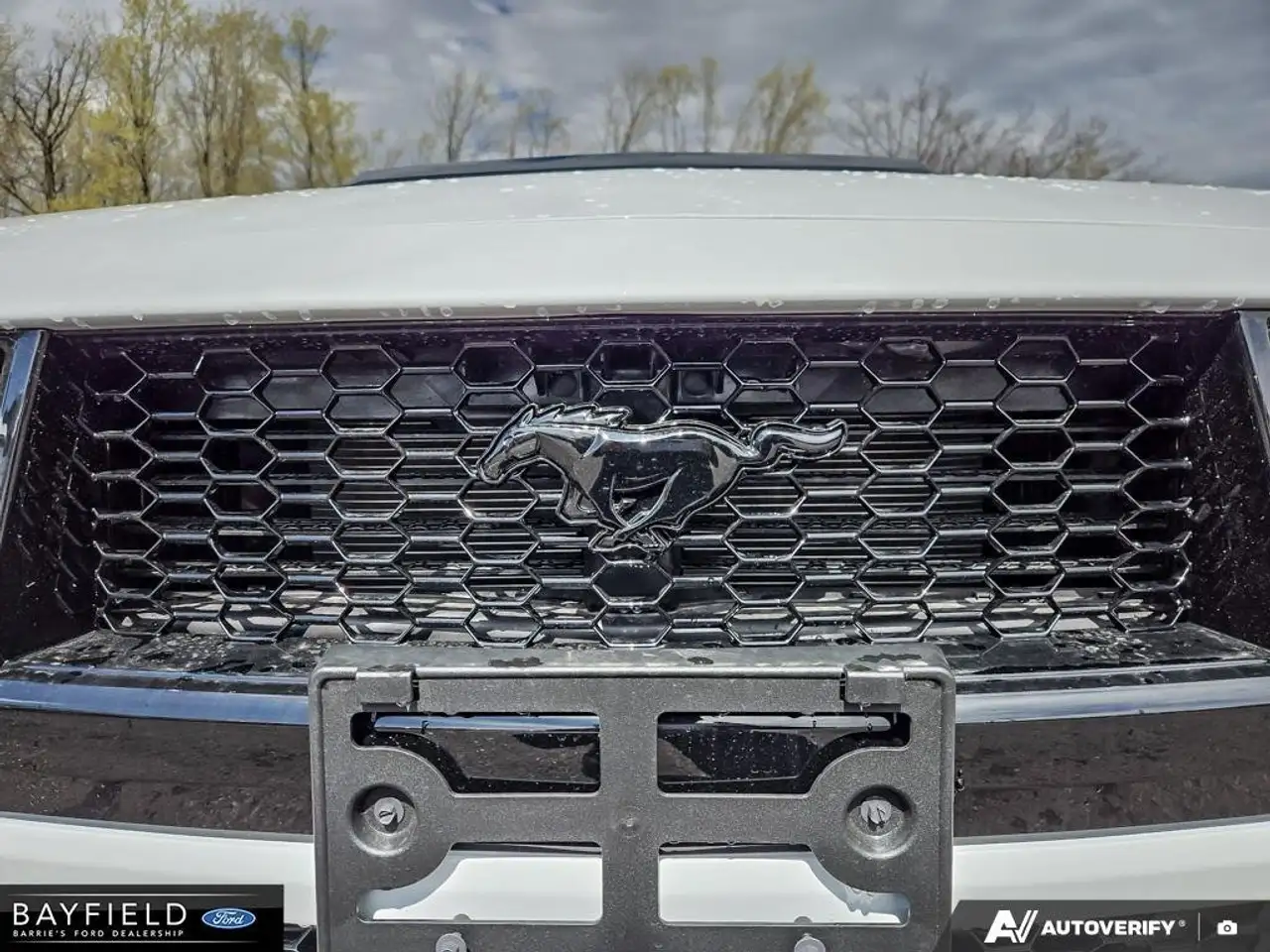 Ford Mustang снимка Ford Mustang