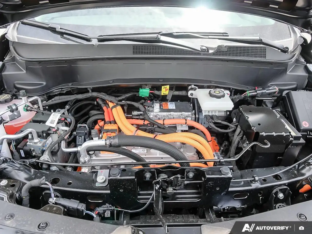 Chevrolet Bolt fotografie Chevrolet Bolt