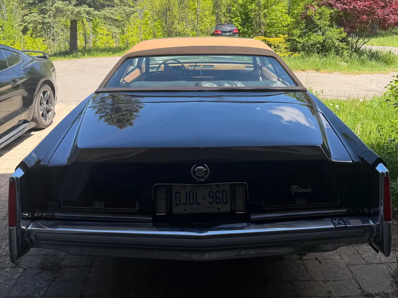 Cadillac Eldorado photo Cadillac Eldorado