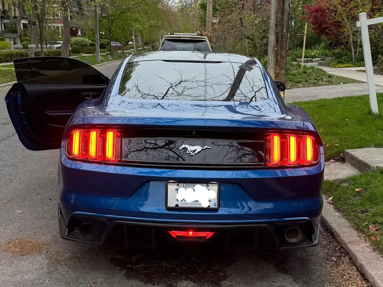 Ford Mustang photo Ford Mustang