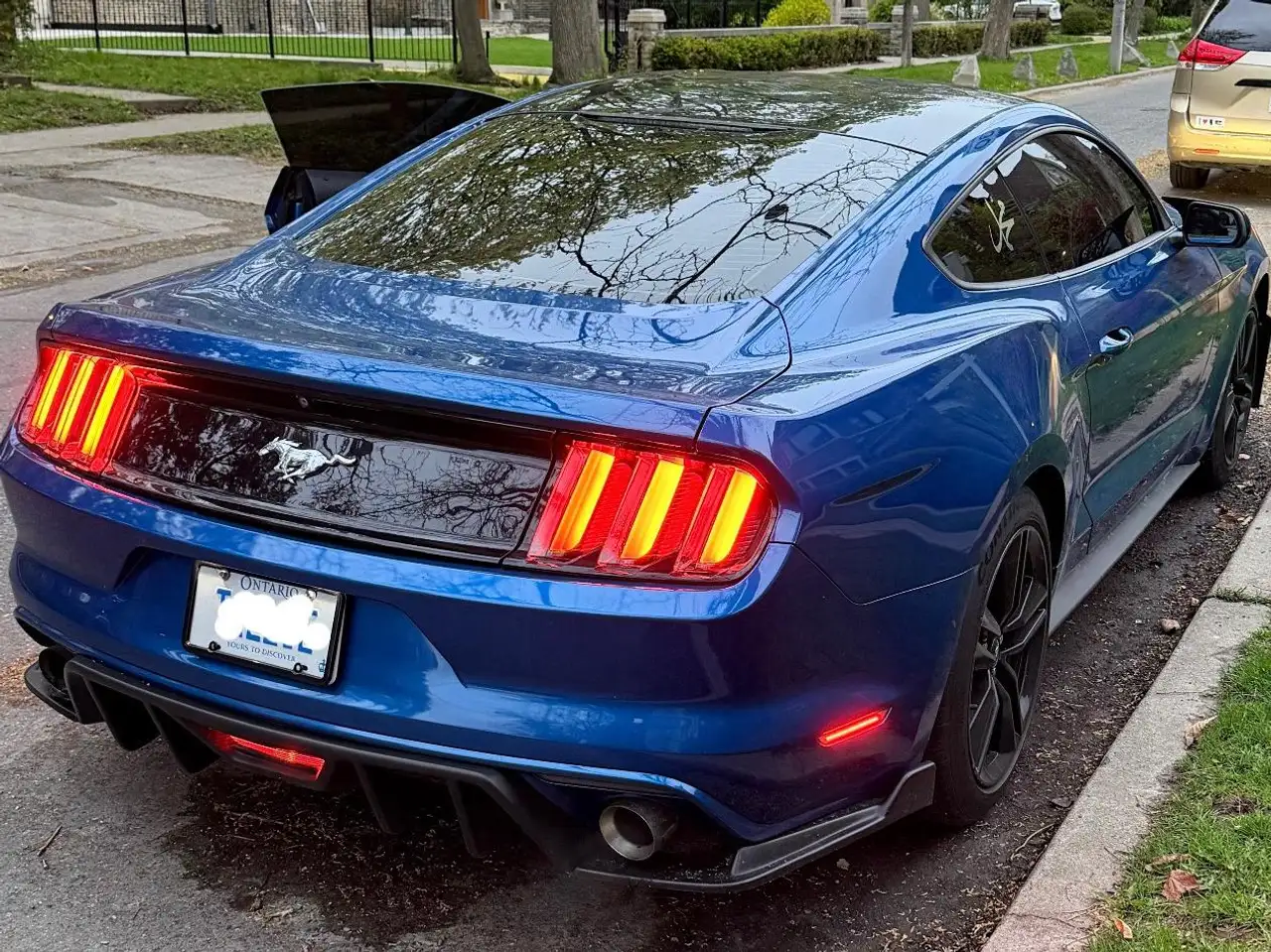 Ford Mustang photo Ford Mustang
