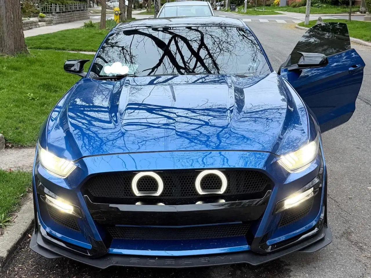 Ford Mustang photo Ford Mustang