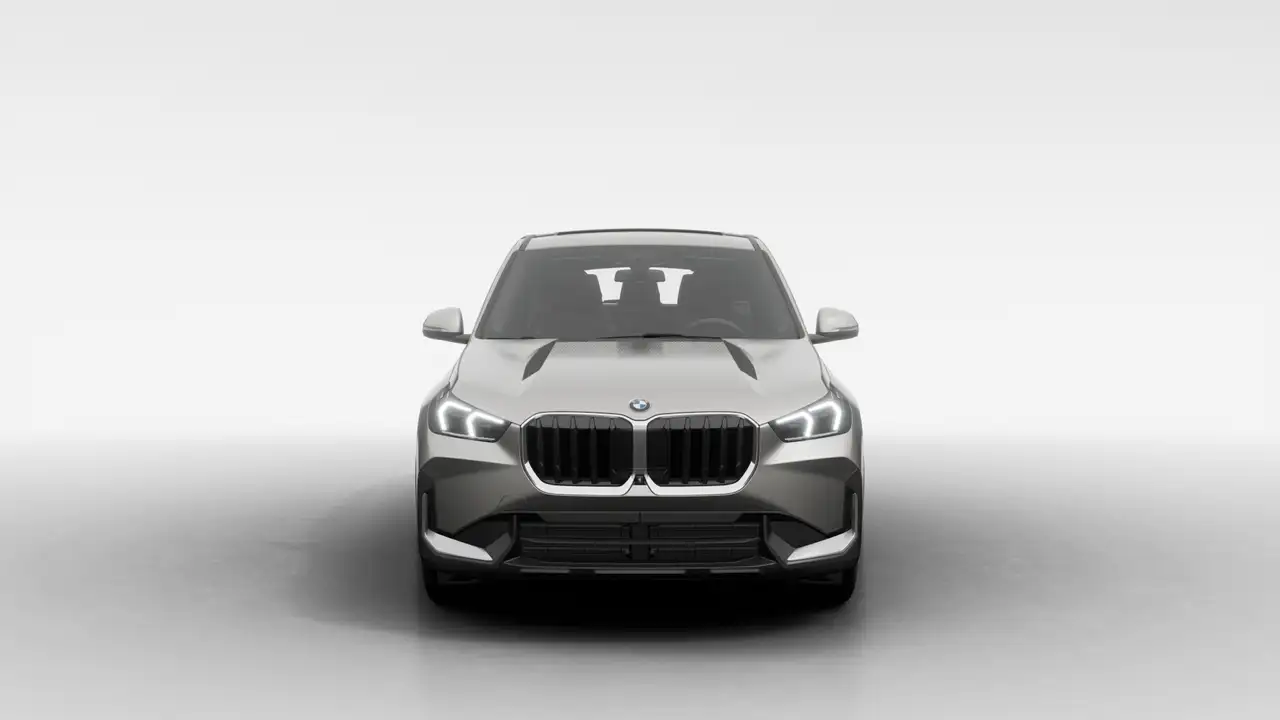 BMW X1 photo BMW X1