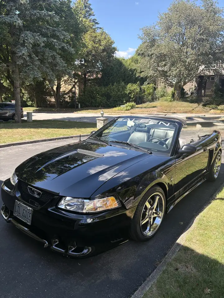 Ford Mustang fotografie Ford Mustang