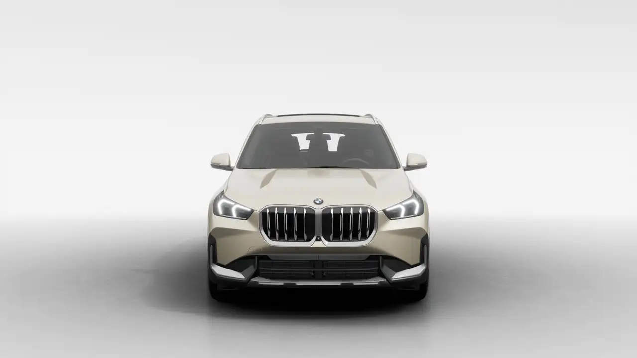 BMW X1 photo BMW X1