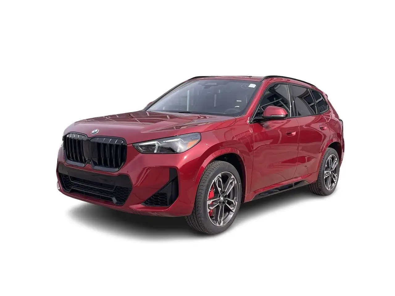 BMW X1 fotografie BMW X1