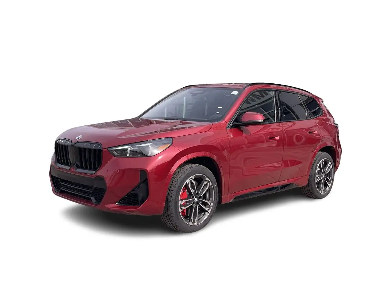 BMW X1 fotografie BMW X1