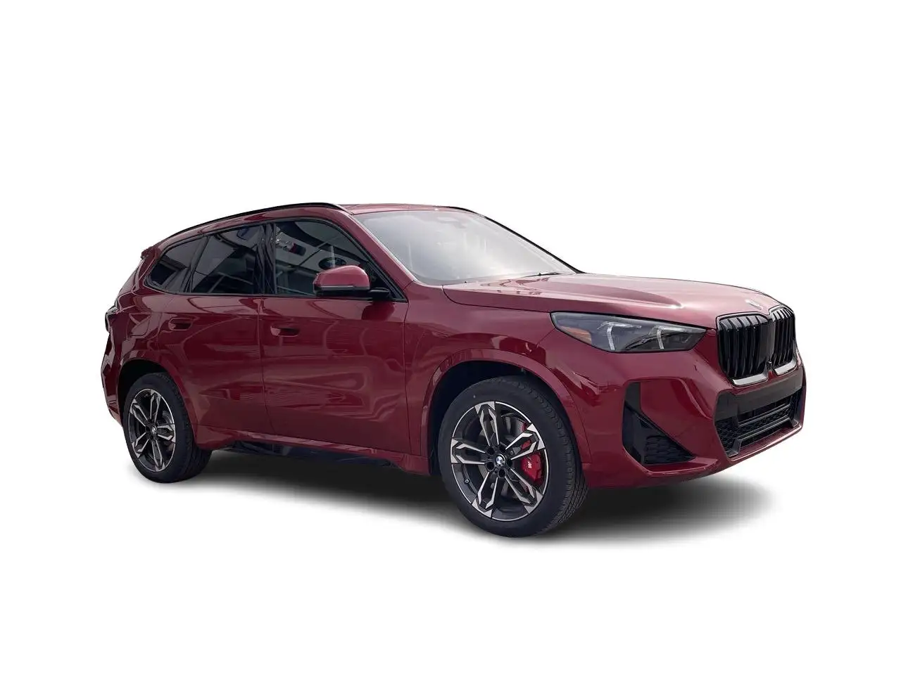 BMW X1 fotografie BMW X1