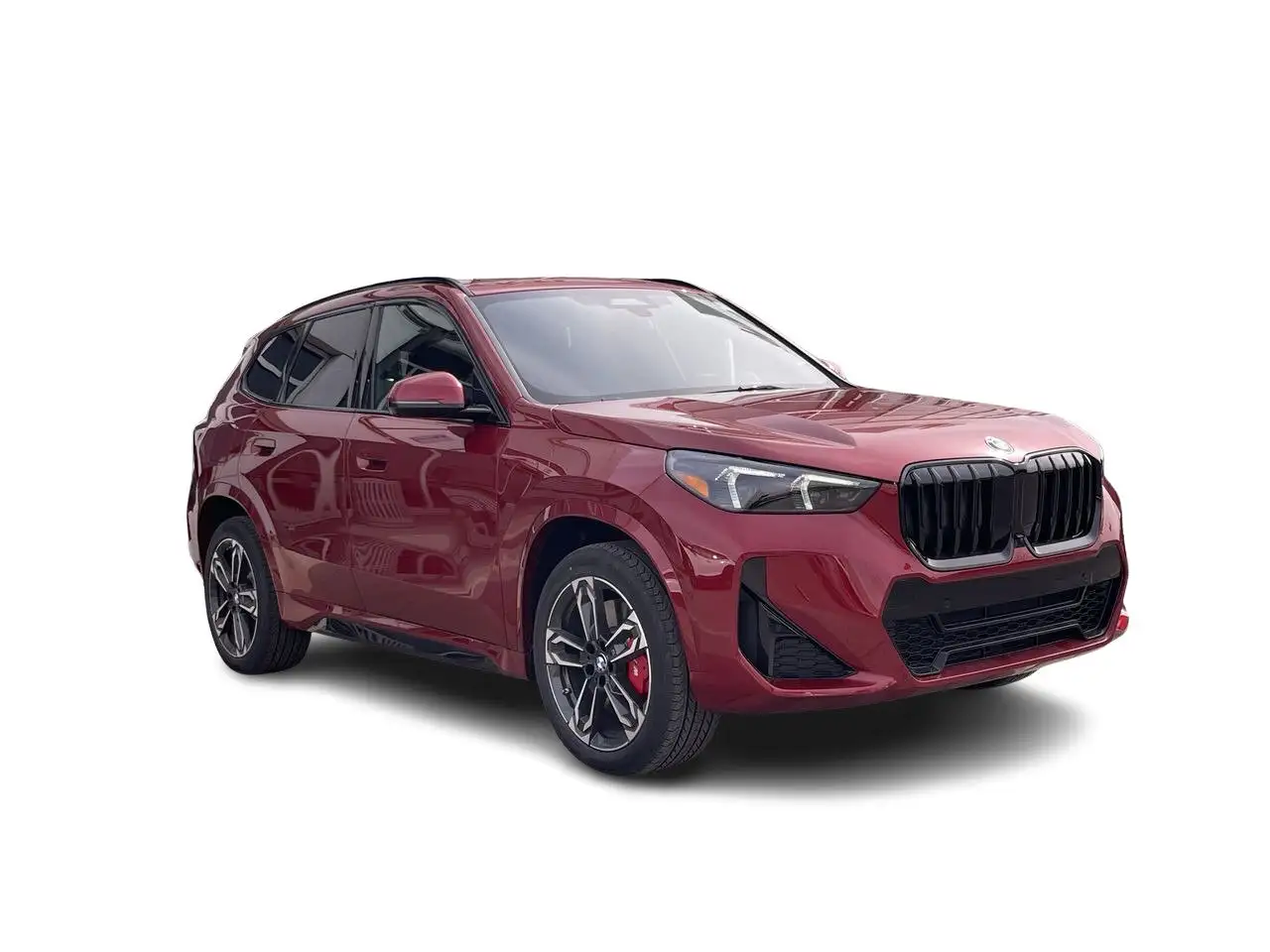 BMW X1 fotografie BMW X1