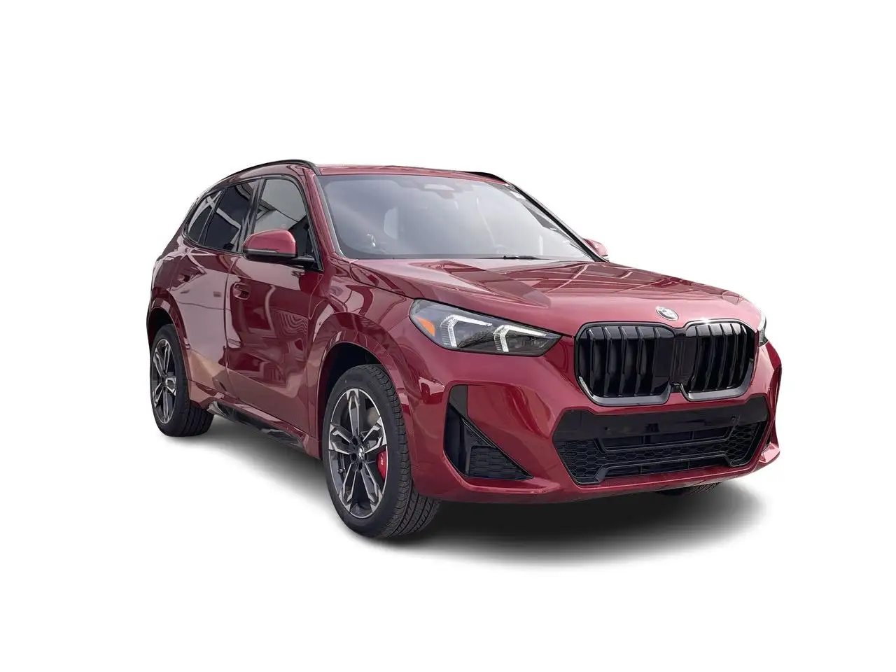 BMW X1 fotografie BMW X1