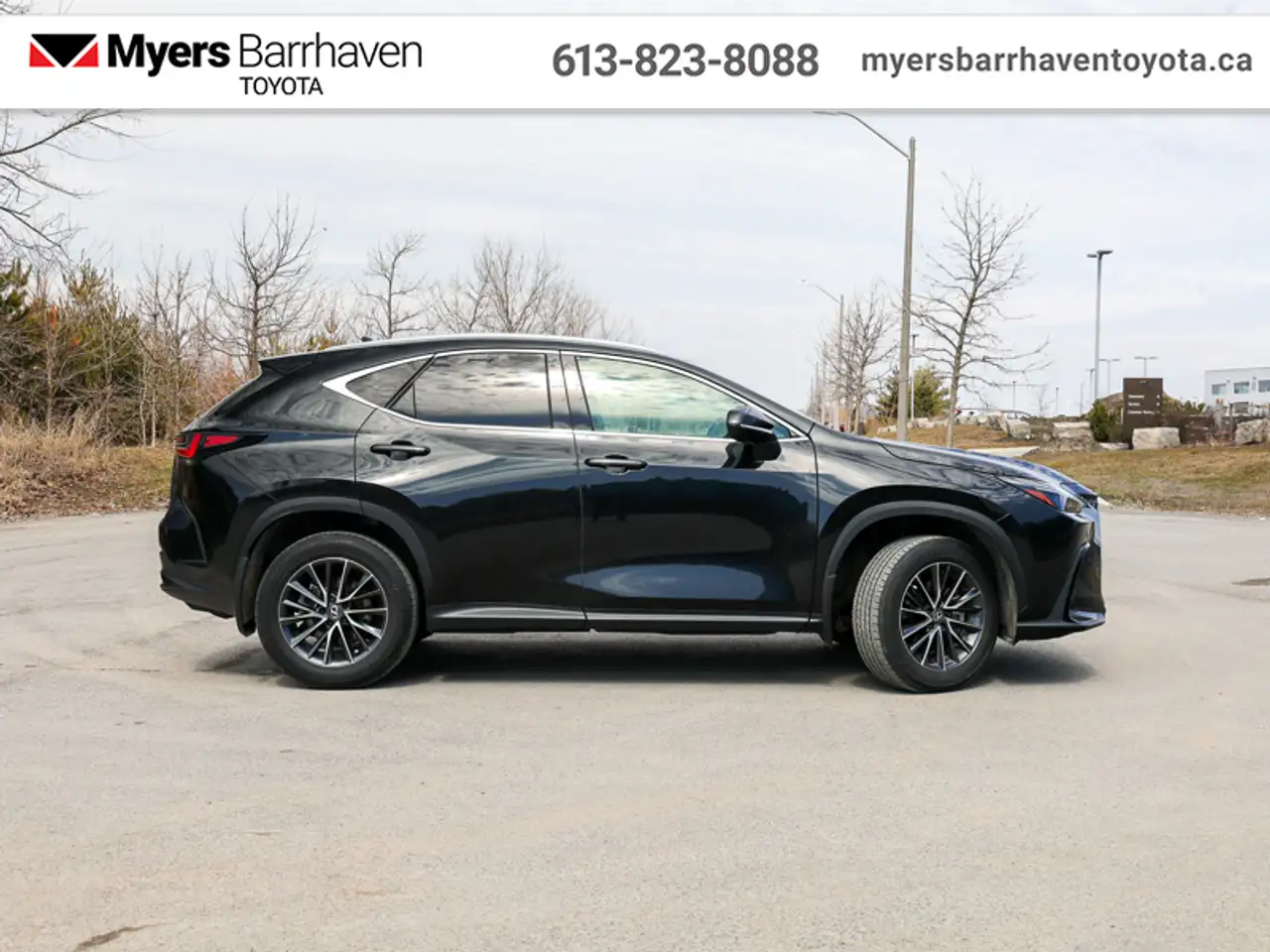 Lexus NX снимка Lexus NX