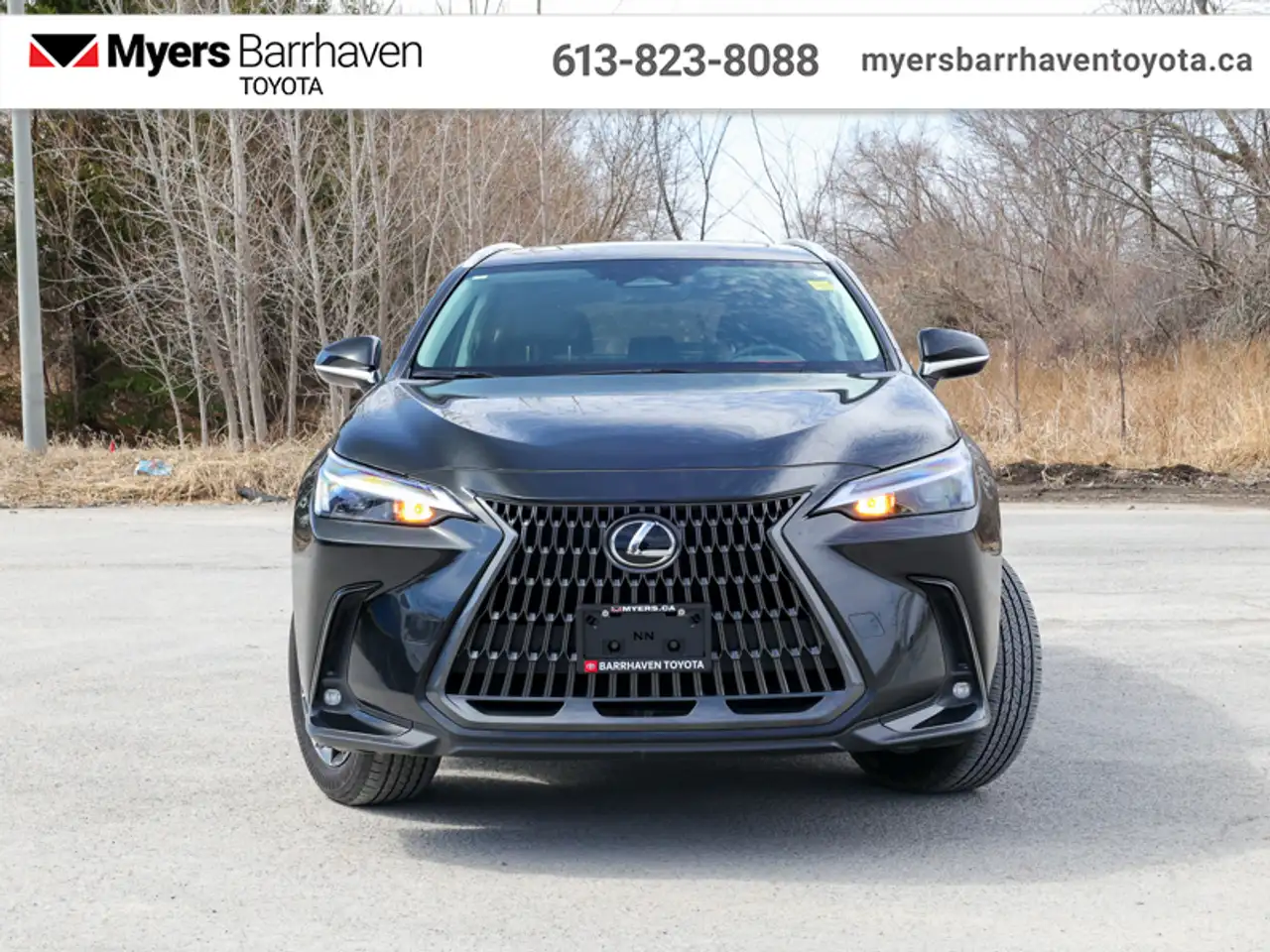 Lexus NX снимка Lexus NX