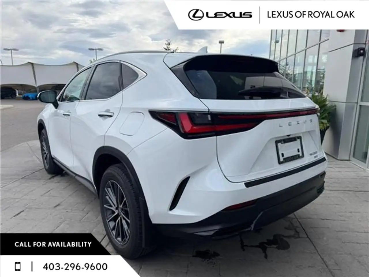Lexus NX снимка Lexus NX