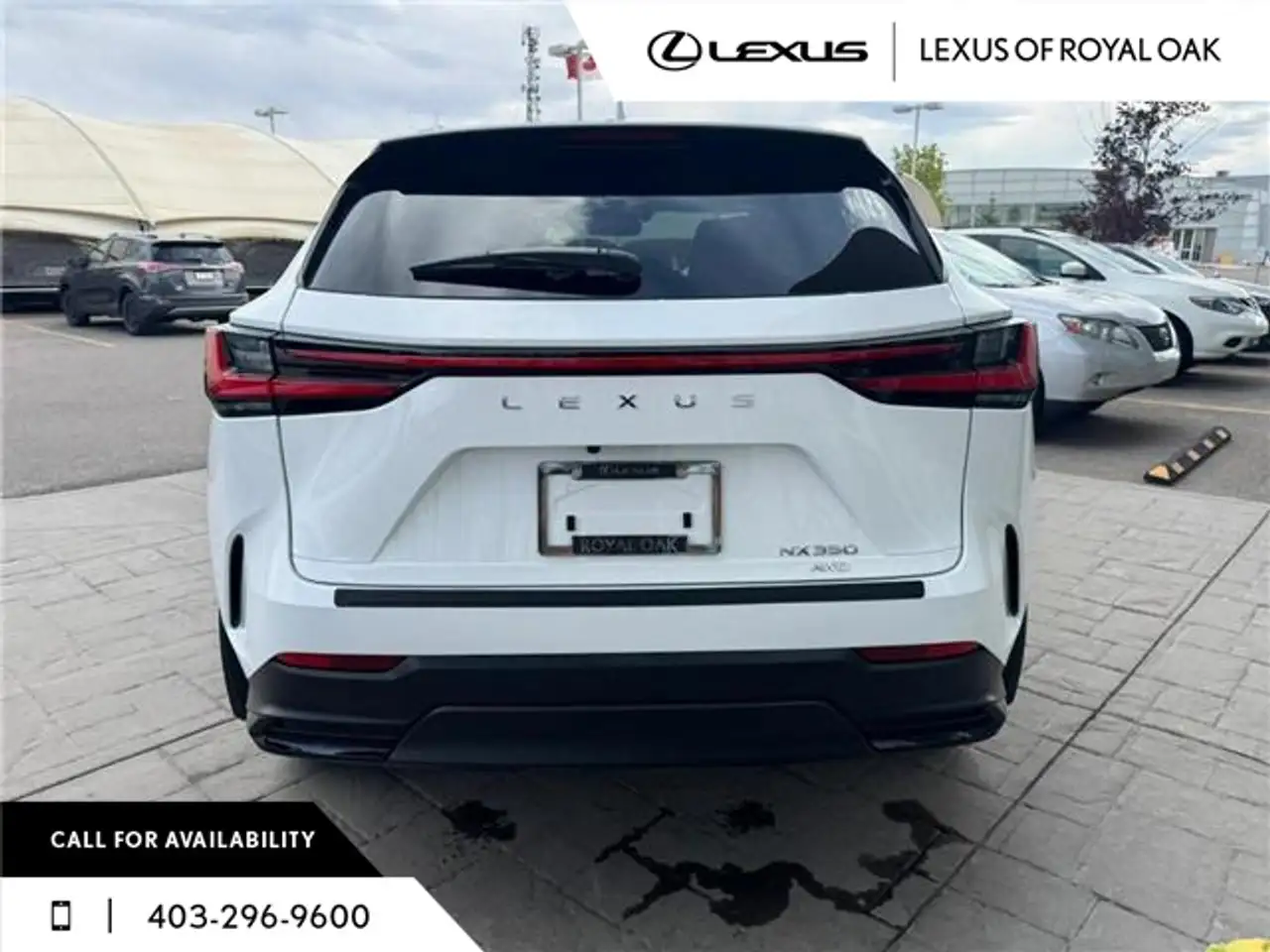Lexus NX снимка Lexus NX
