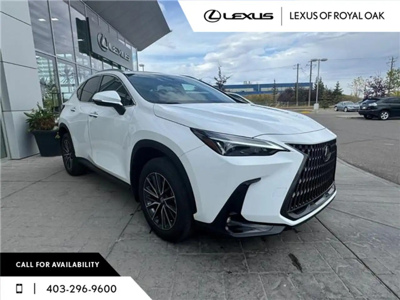 Lexus NX снимка Lexus NX