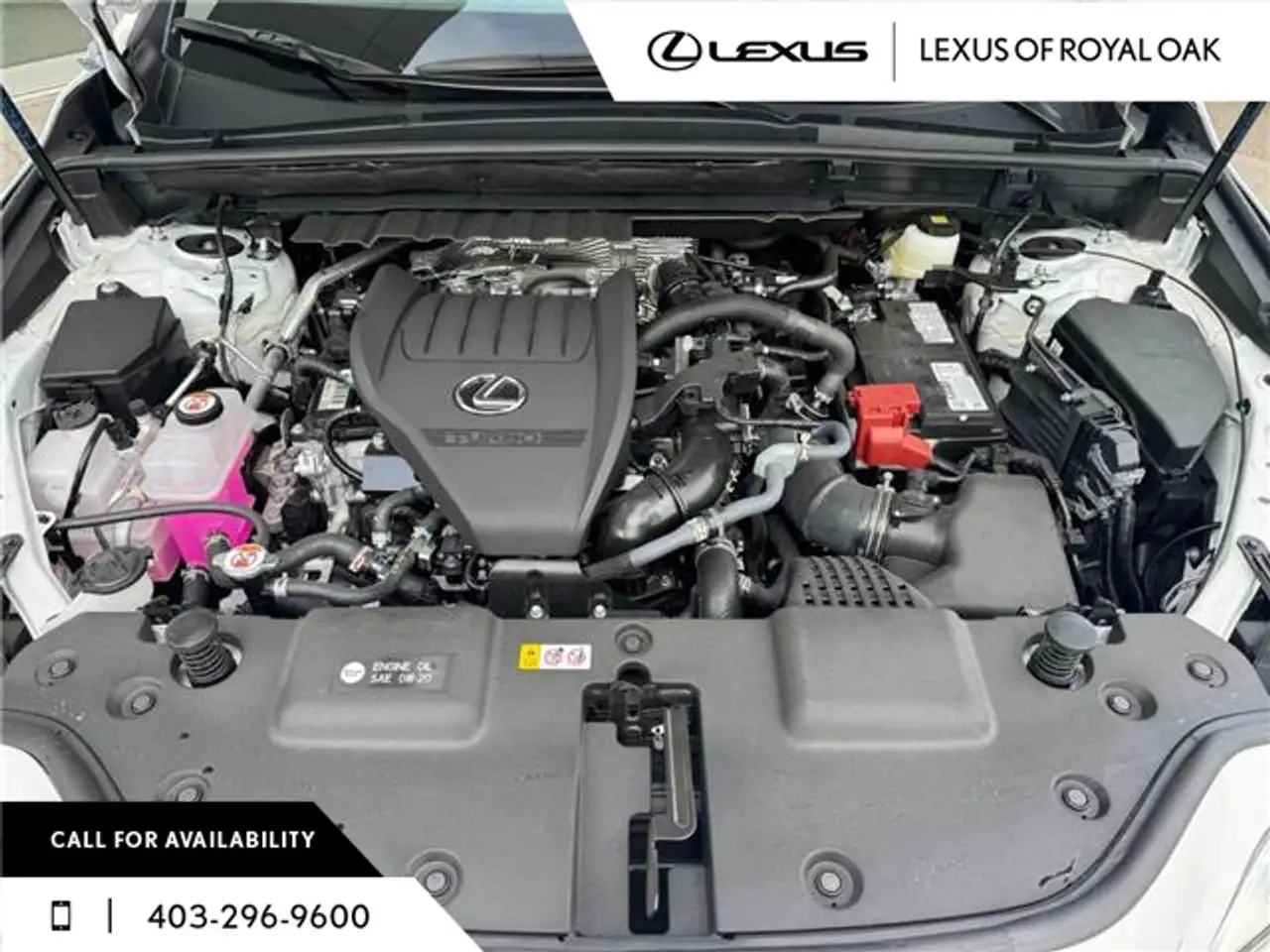 Lexus NX снимка Lexus NX