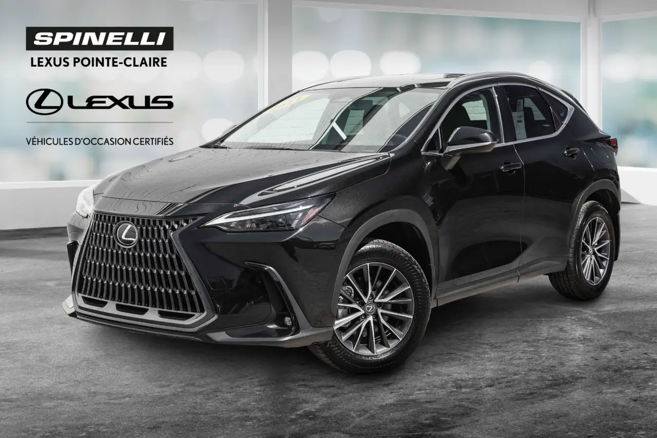 2024 Lexus NX