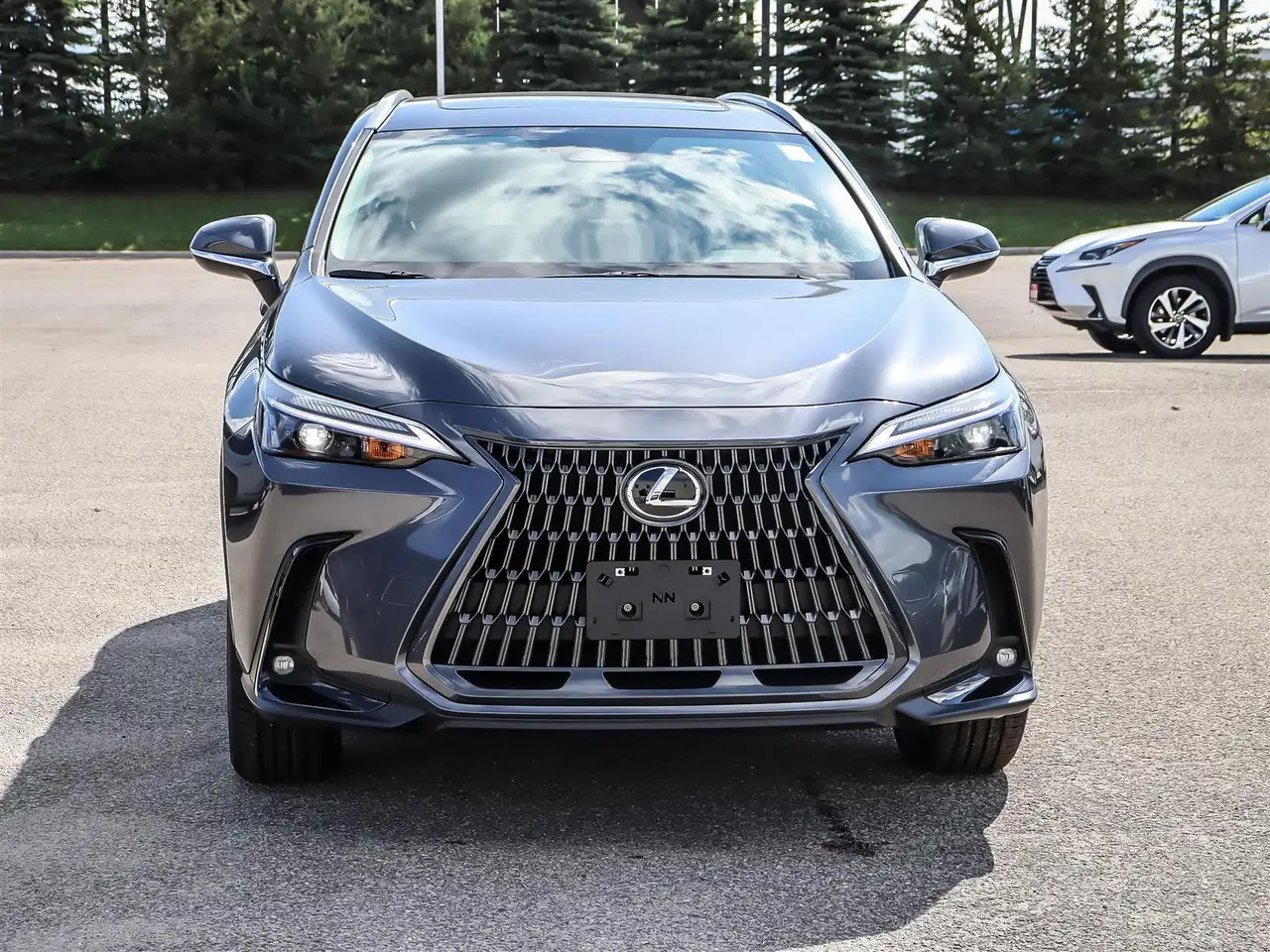 Lexus NX снимка Lexus NX