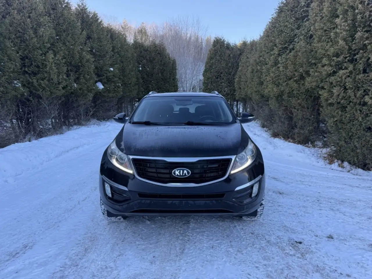 Kia Sportage снимка Kia Sportage