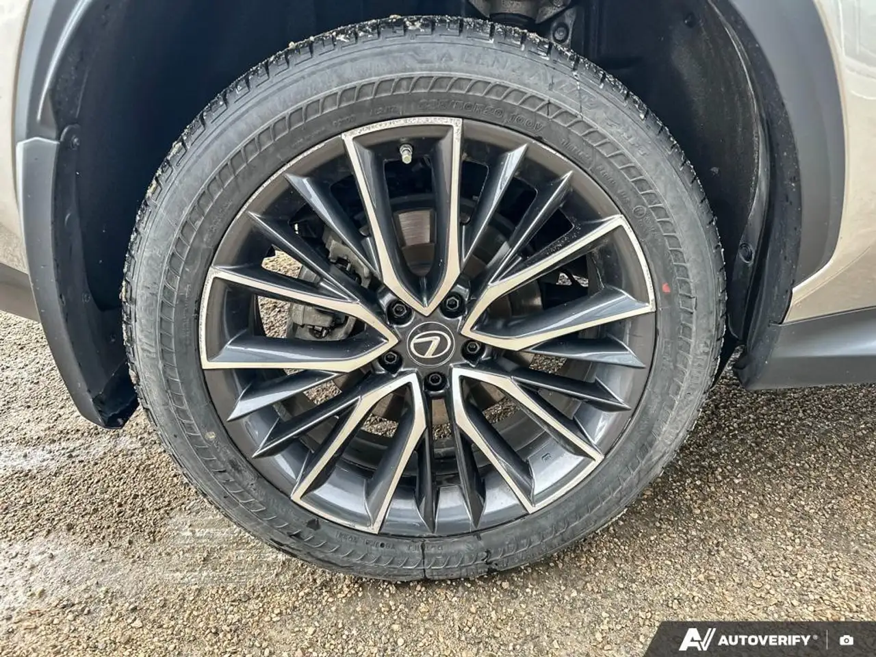 Lexus NX fotografie Lexus NX