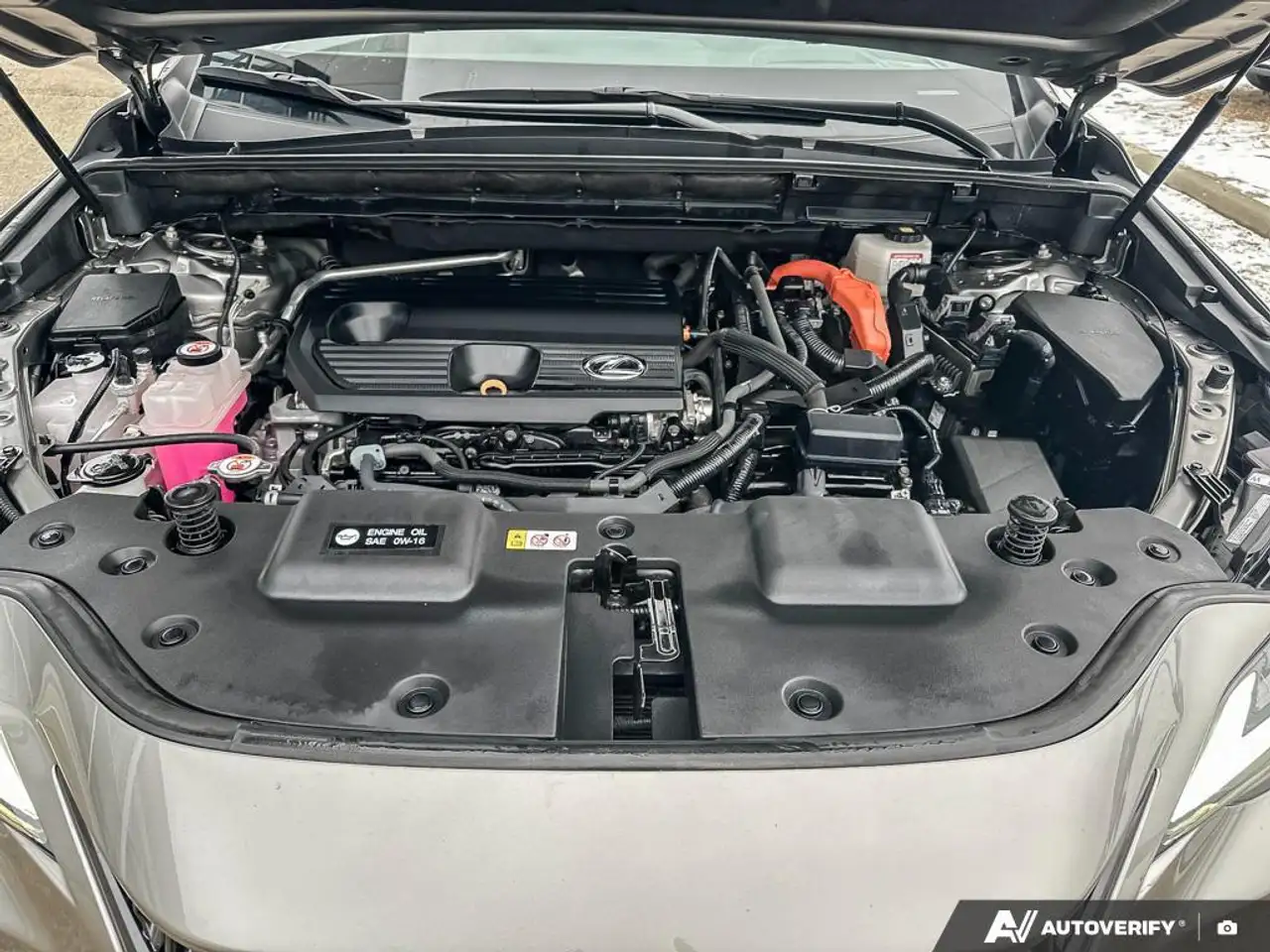 Lexus NX fotografie Lexus NX