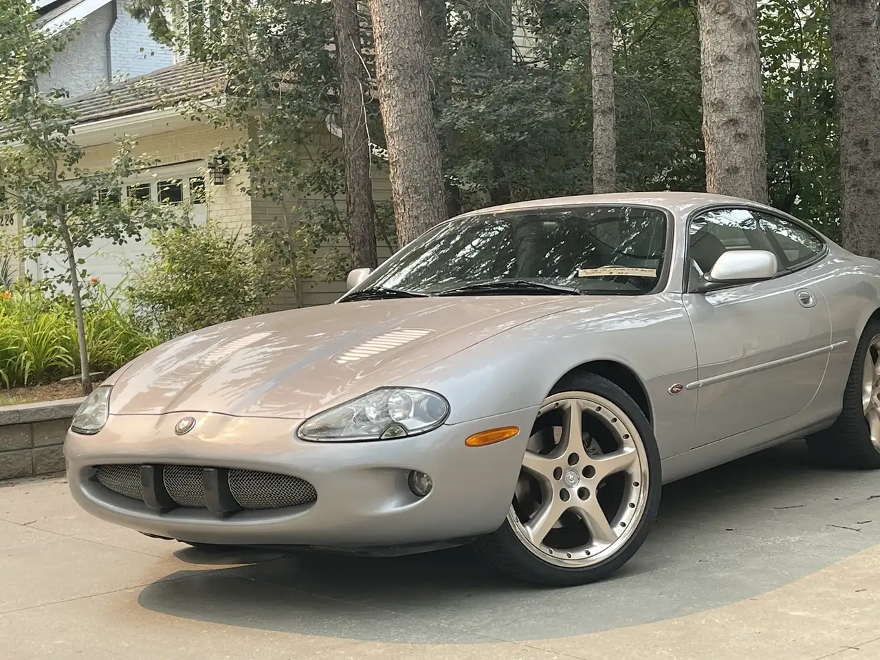 Jaguar XK fotografie Jaguar XK