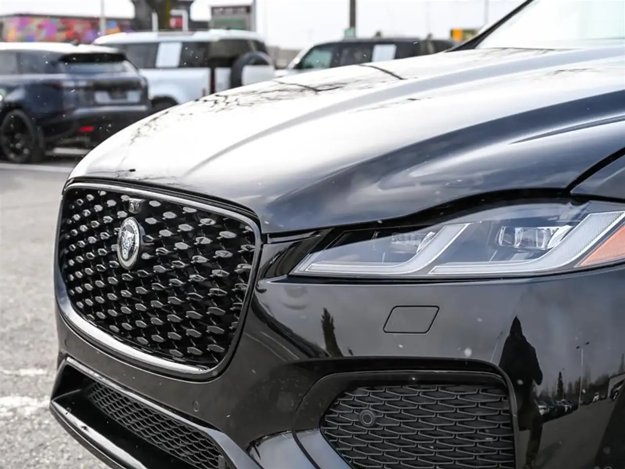 Jaguar F-Pace fotografie Jaguar F-Pace