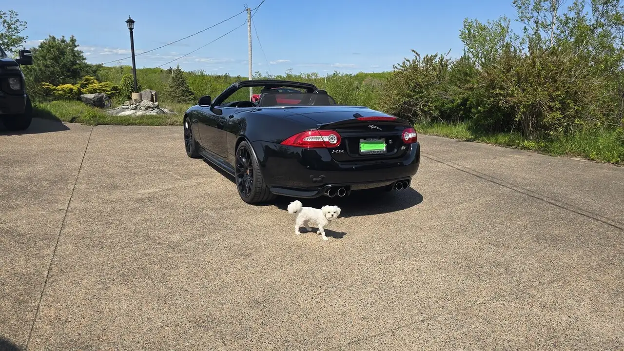 Jaguar XK fotografie Jaguar XK