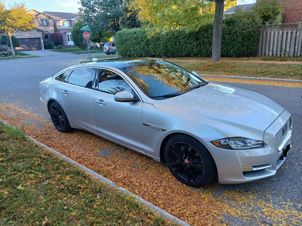 Jaguar XJ photo Jaguar XJ