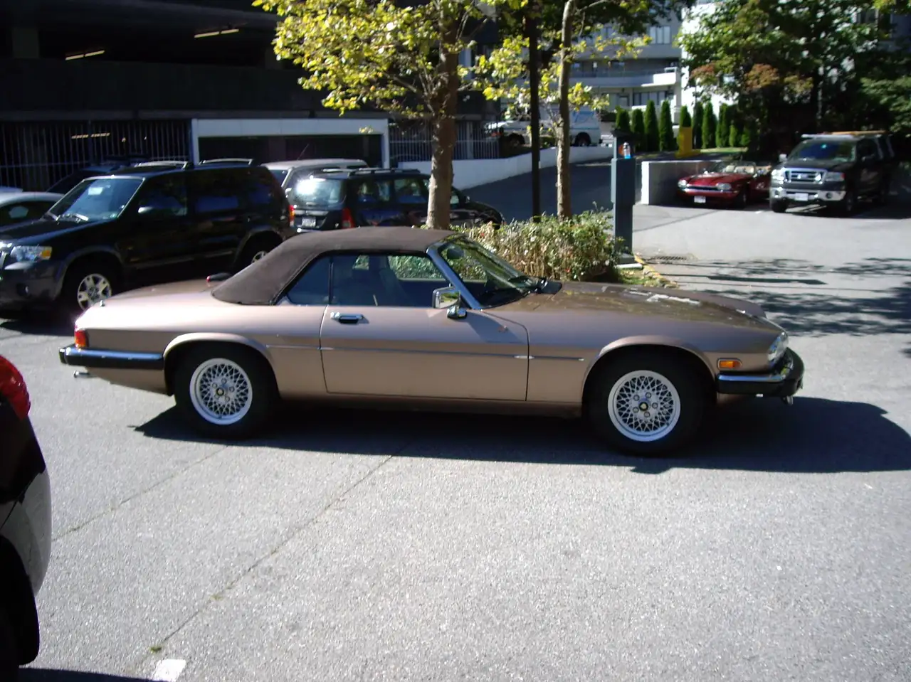 1989 Jaguar XJS