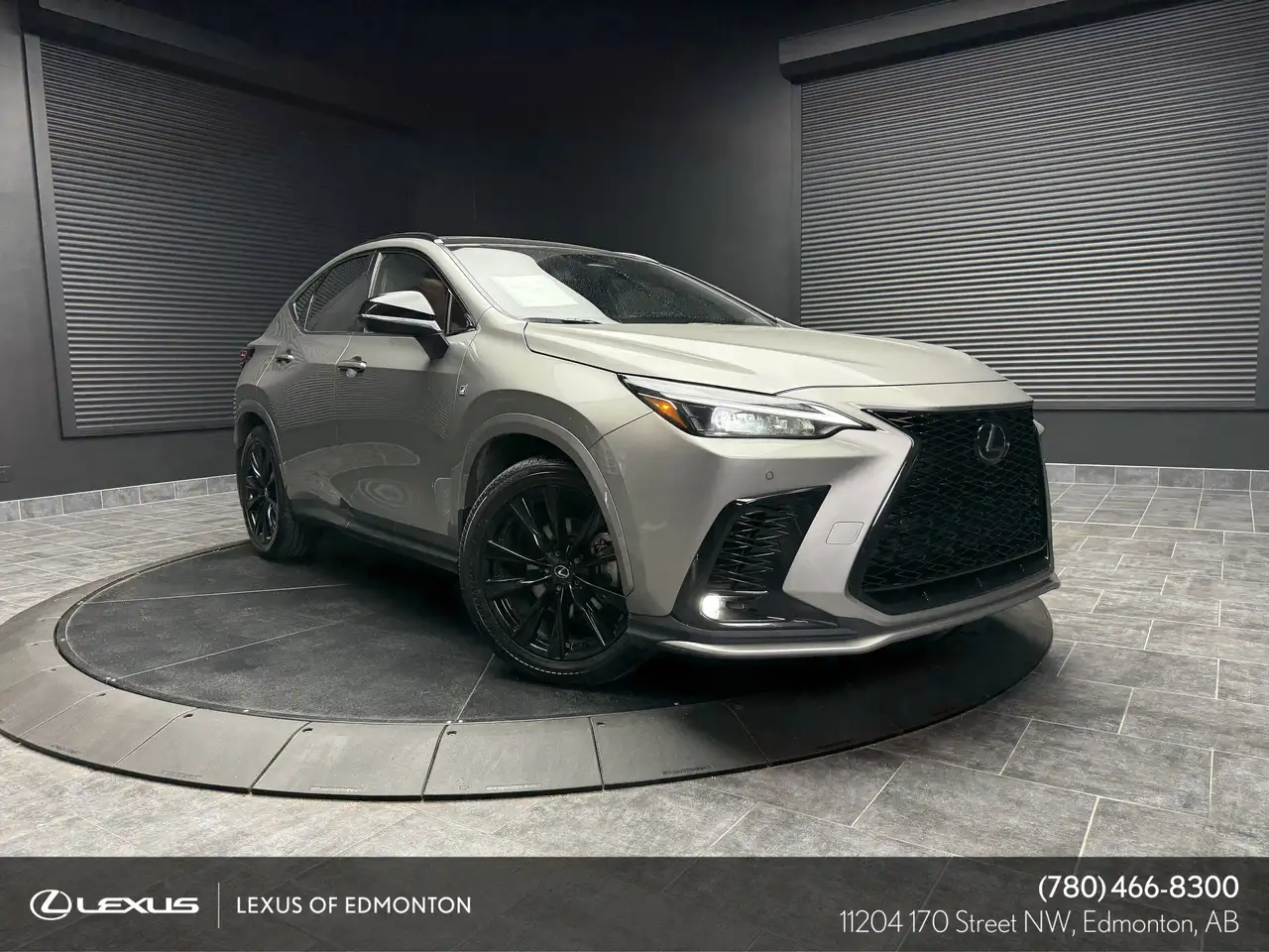 2024 Lexus NX