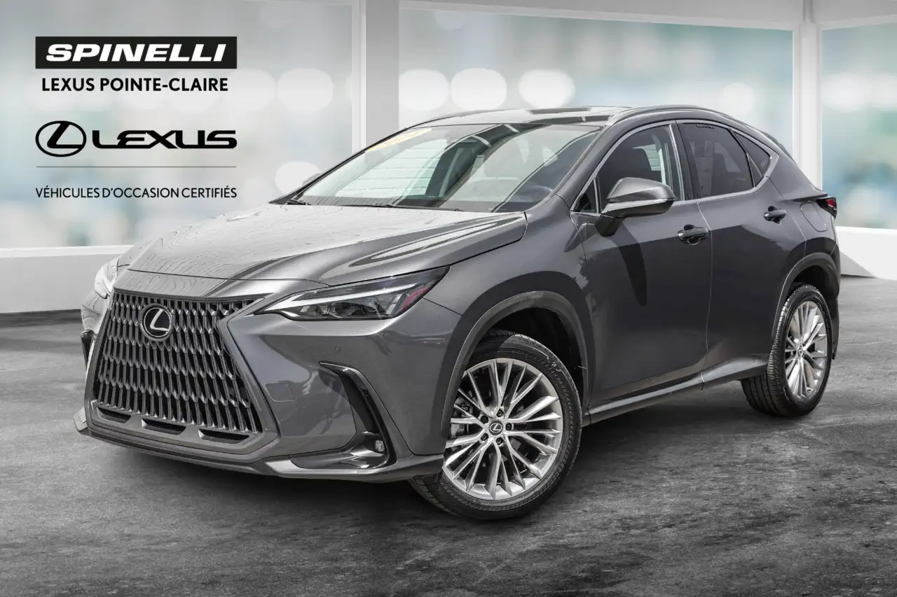 2024 Lexus NX