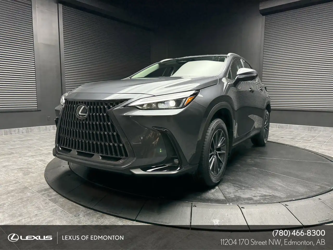 2026 Lexus NX