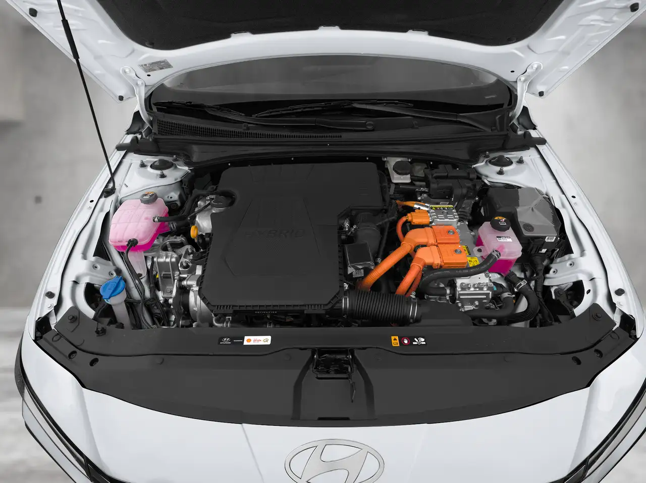 Hyundai ELANTRA fotografie Hyundai ELANTRA