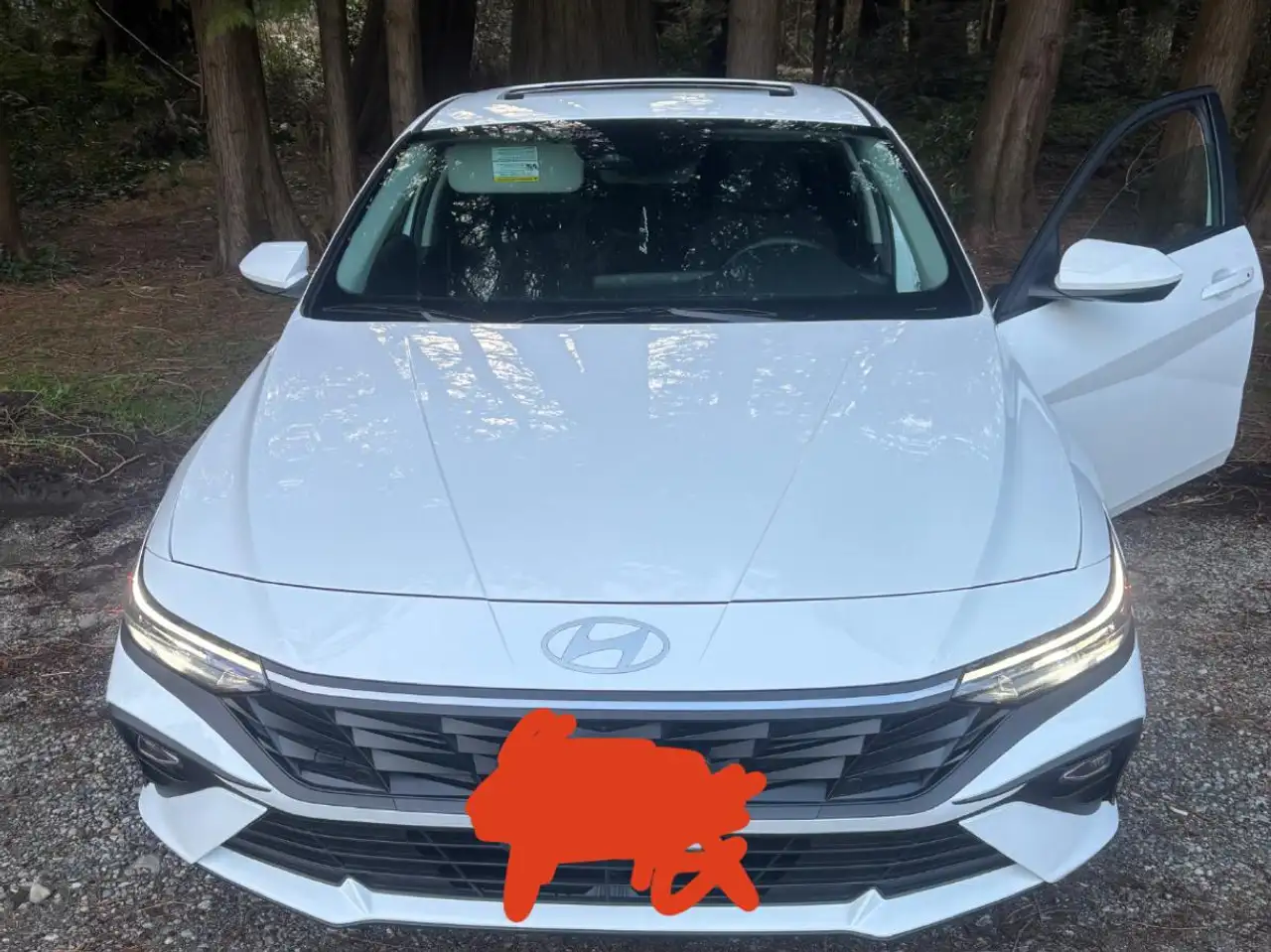 Hyundai ELANTRA photo Hyundai ELANTRA