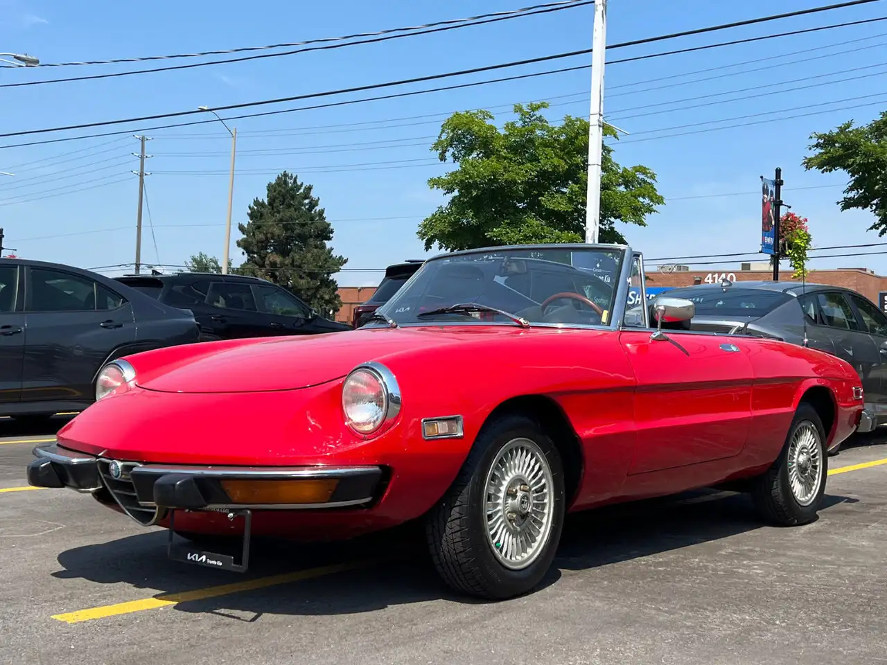 1974 Alfa Romeo Spider