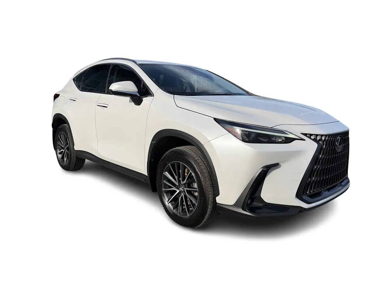 2022 Lexus NX