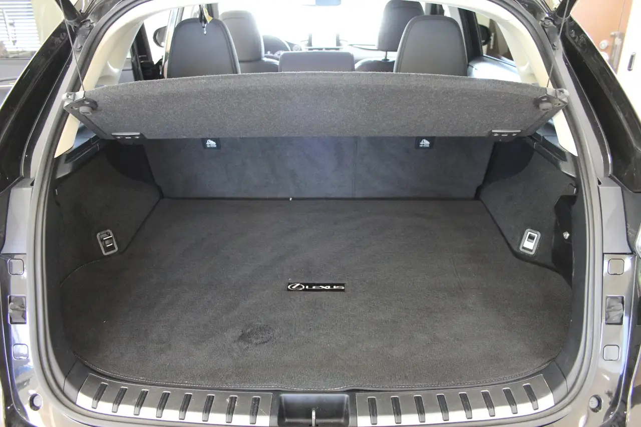 Lexus NX снимка Lexus NX
