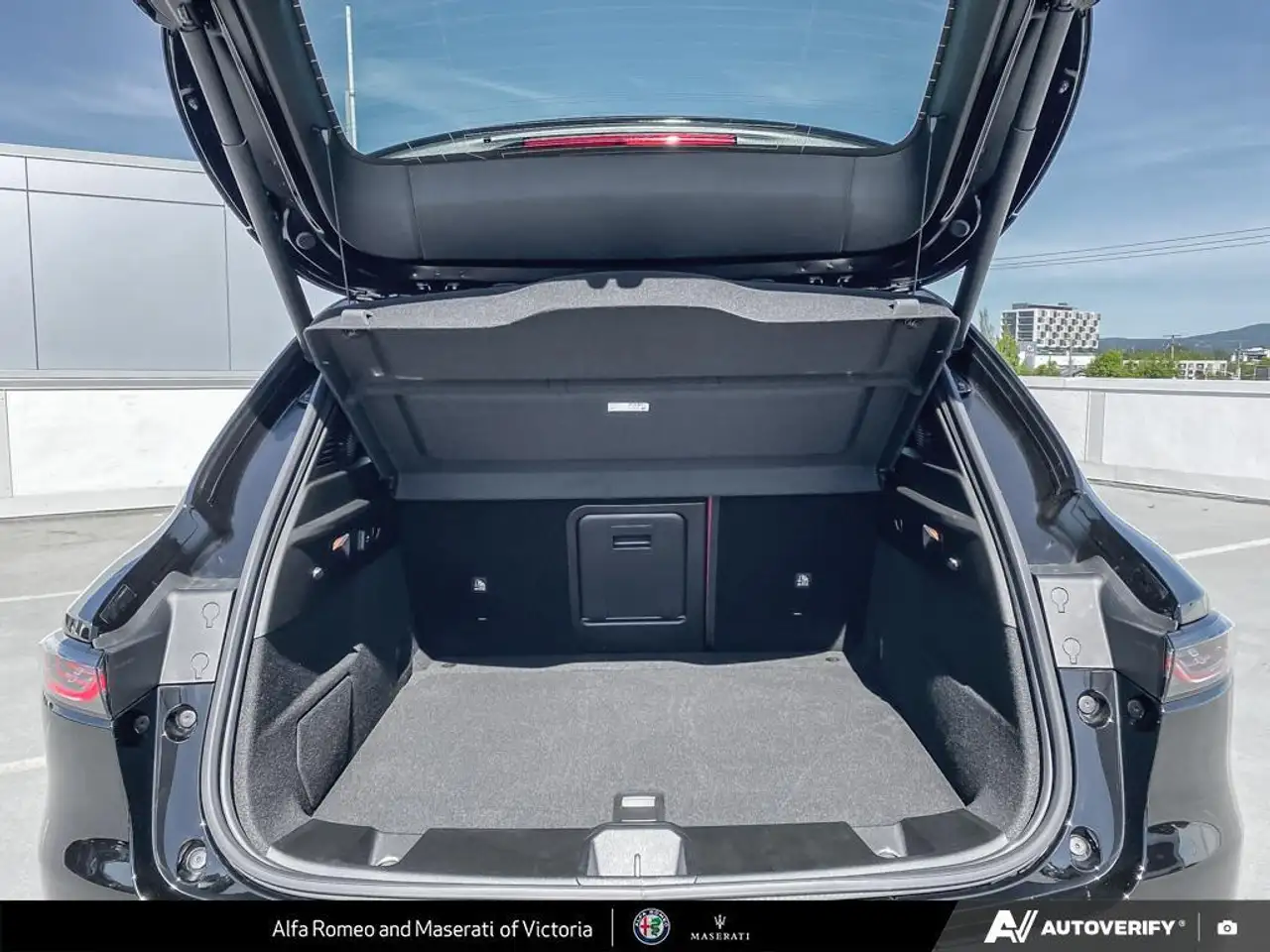 Alfa Romeo Tonale fotografie Alfa Romeo Tonale