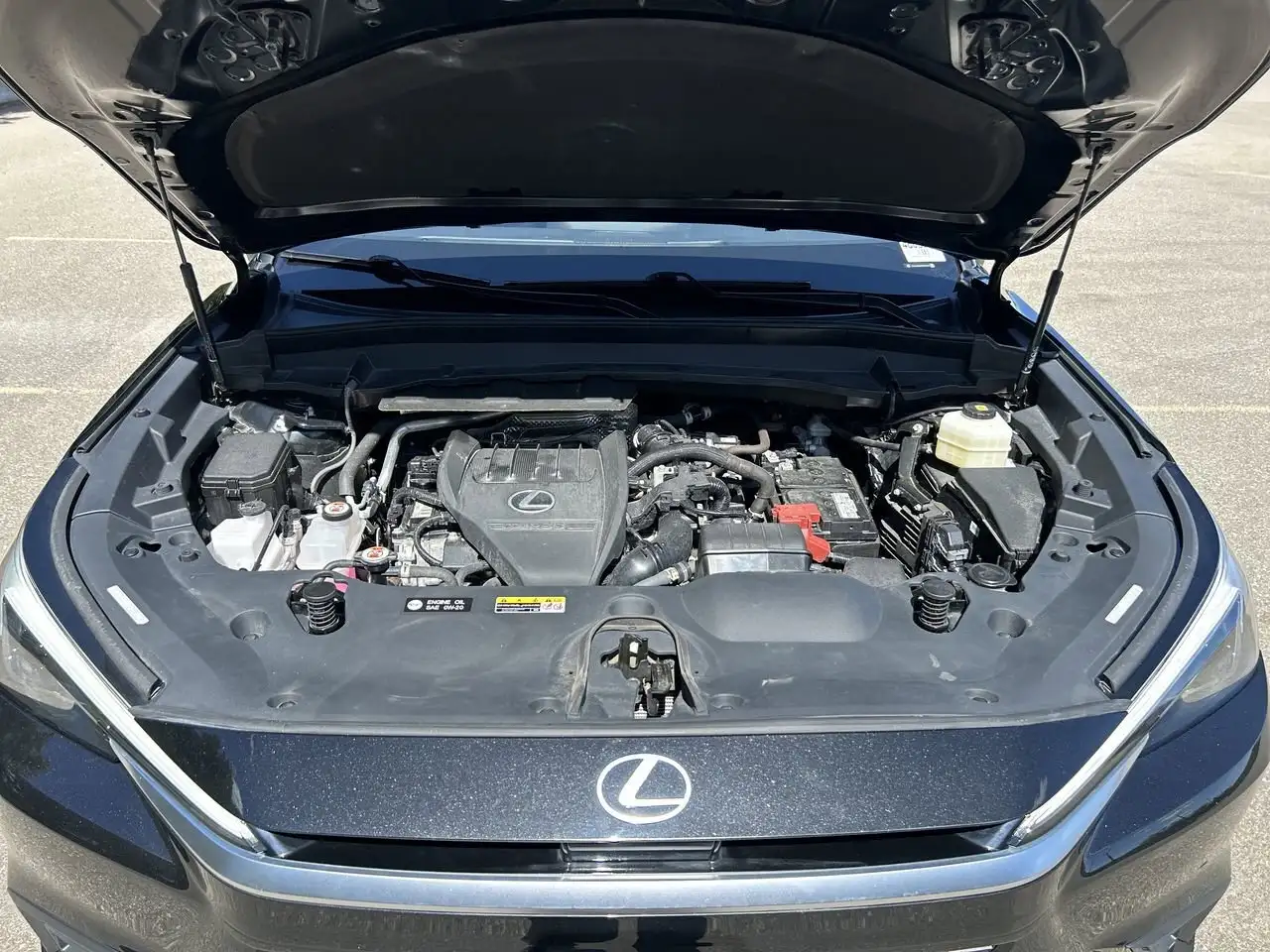 Lexus TX photo Lexus TX