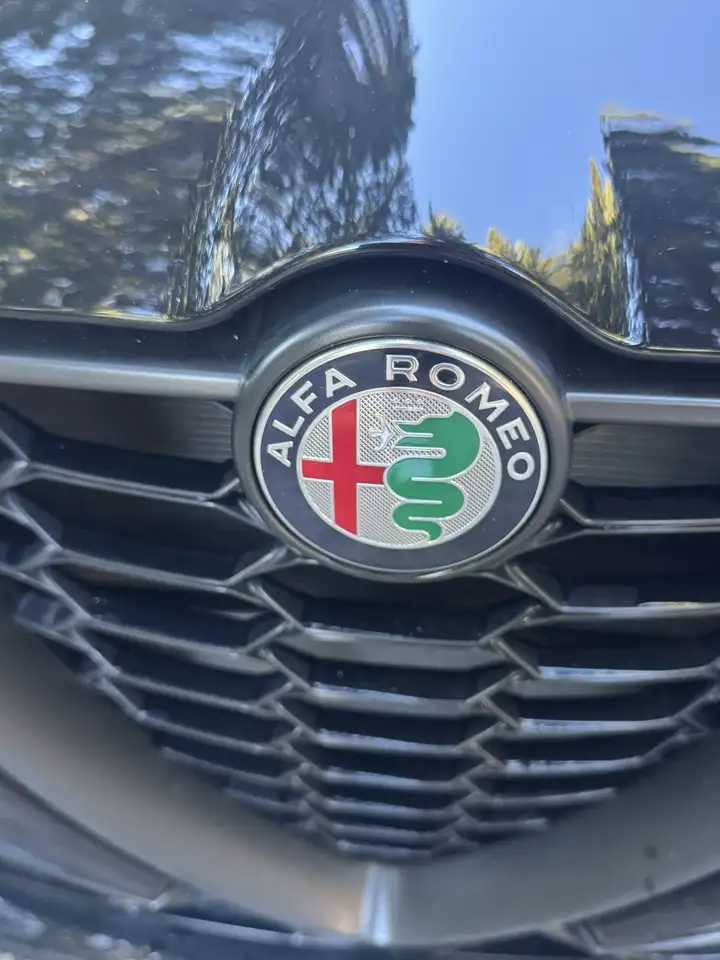 Alfa Romeo Tonale fotografie Alfa Romeo Tonale