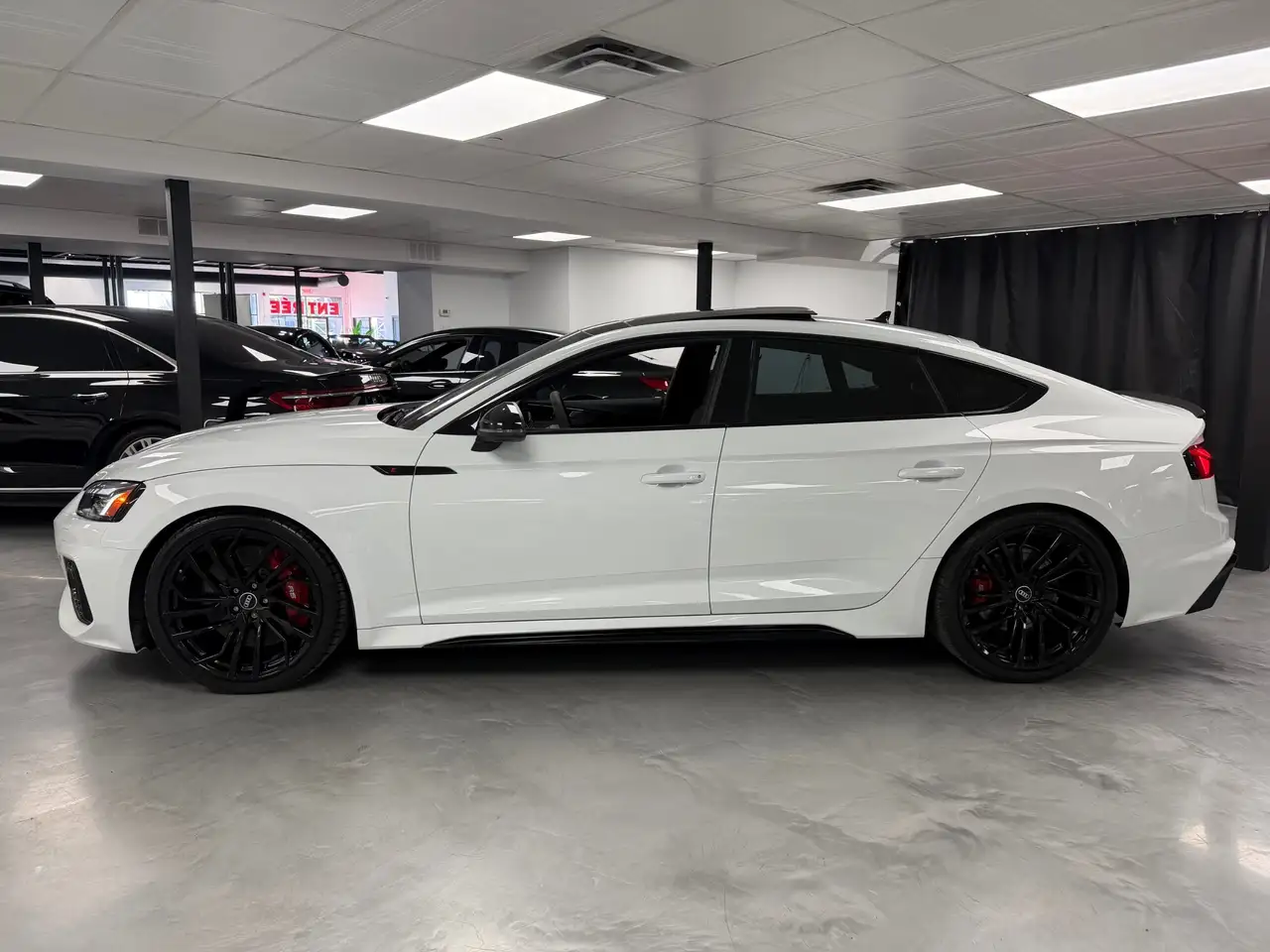 Audi RS5 fotografie Audi RS5