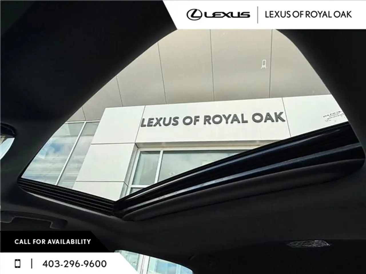 Lexus RX photo Lexus RX