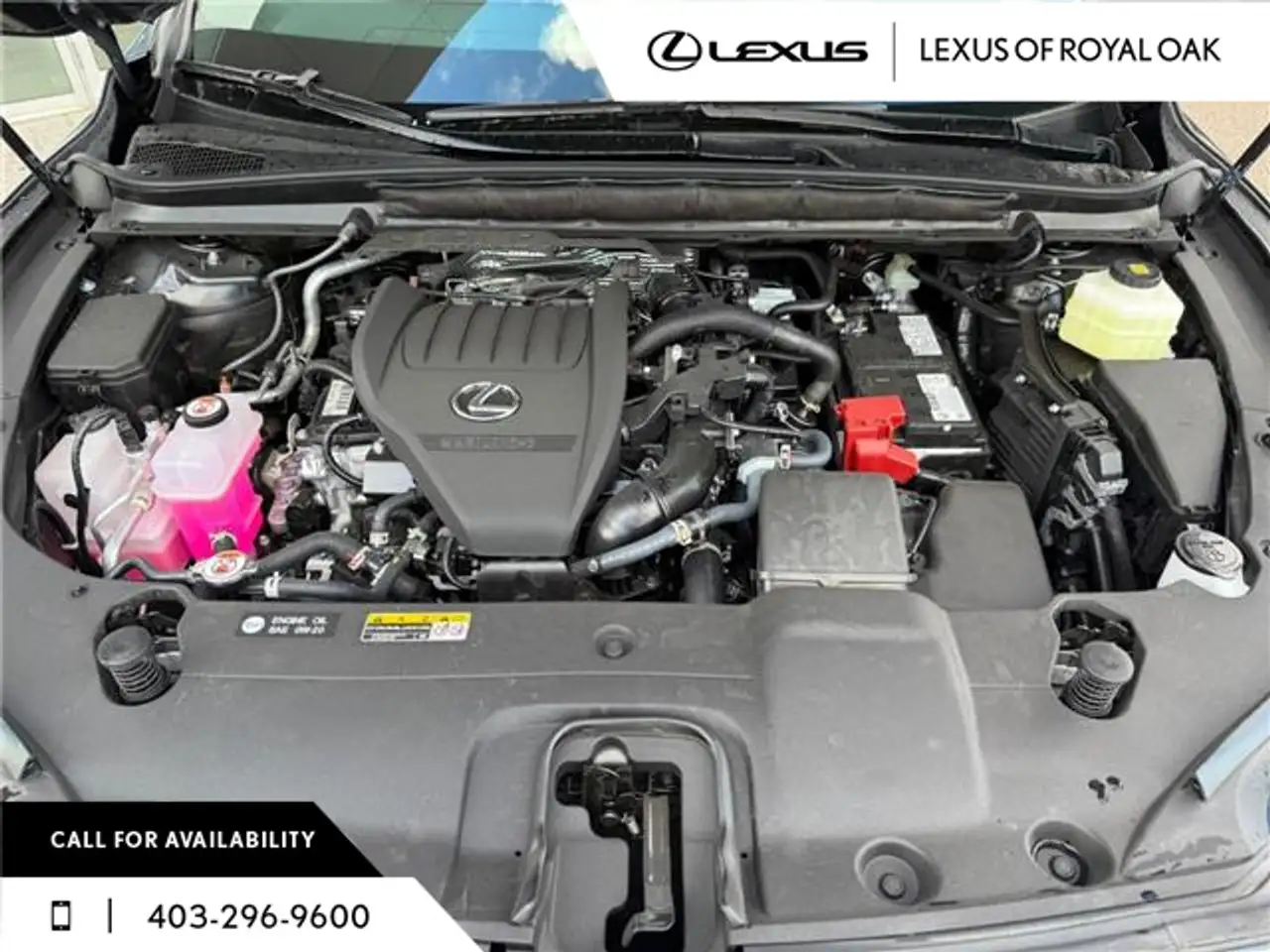 Lexus RX photo Lexus RX