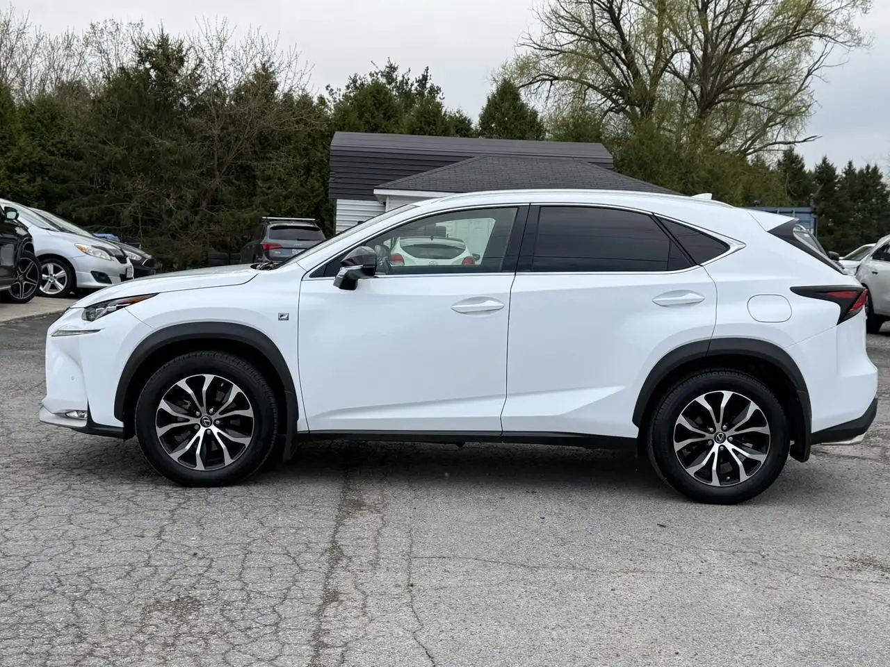 Lexus NX fotografie Lexus NX