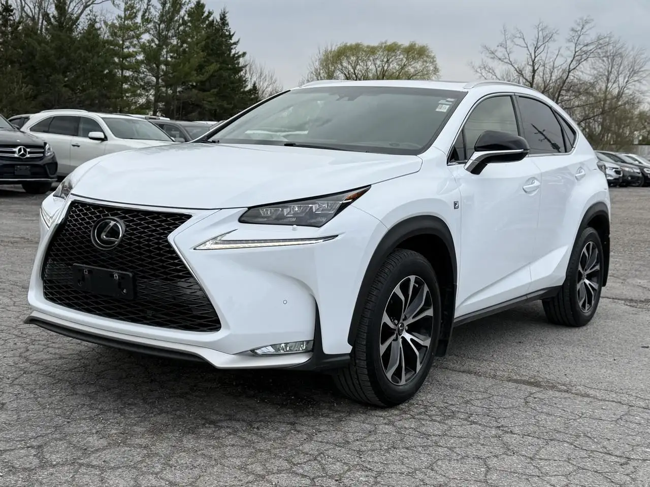 Lexus NX fotografie Lexus NX