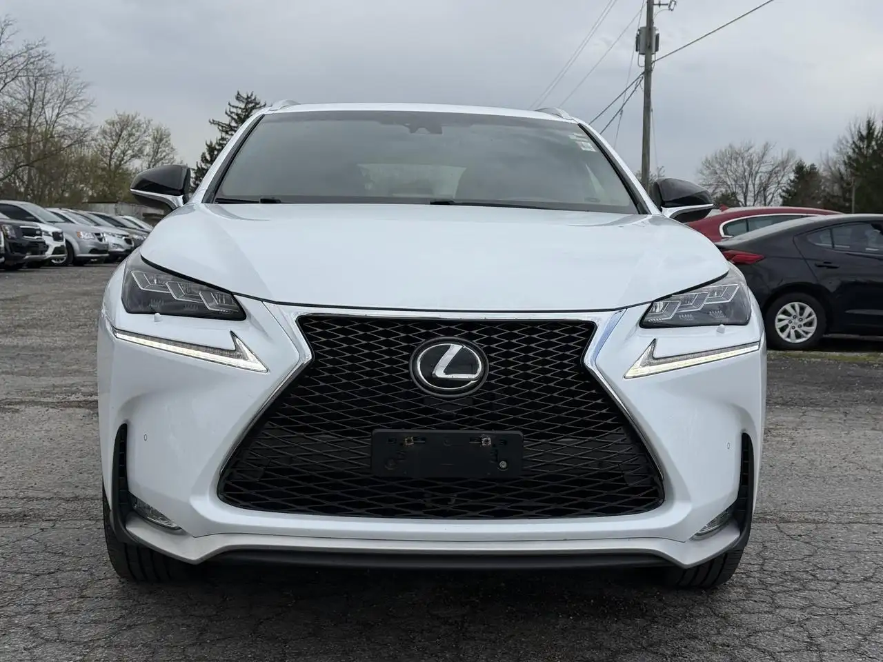 Lexus NX fotografie Lexus NX