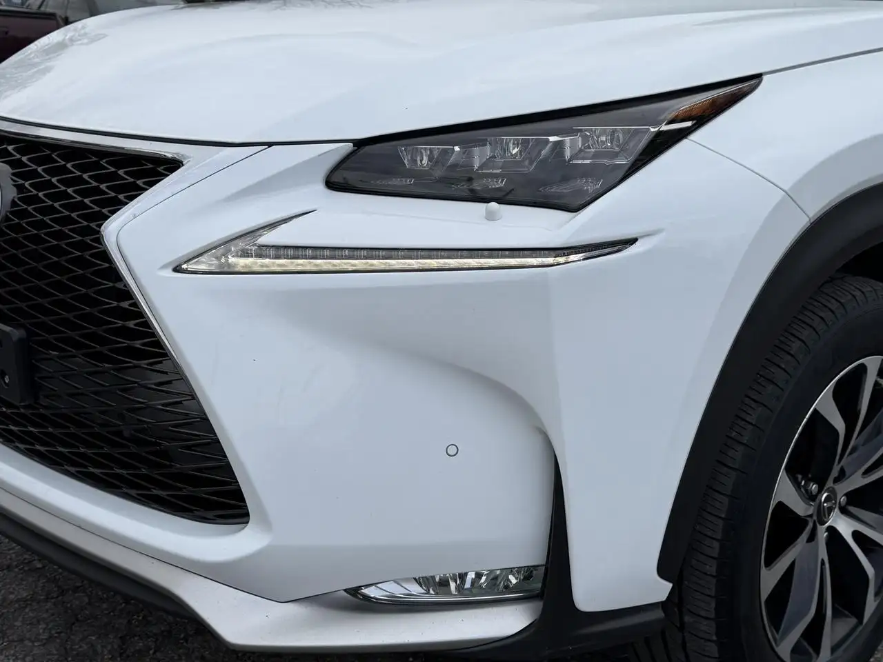 Lexus NX fotografie Lexus NX