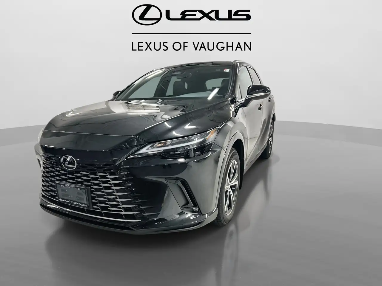 Lexus RX снимка Lexus RX